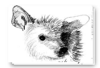 Places and animals...