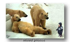 Mixed pictures