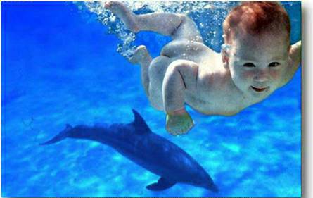 see the biuty of the watter...